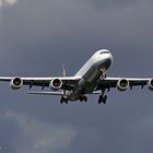 Lufthansa Airbus A340-642 D-AIHL "Saarbrücken"