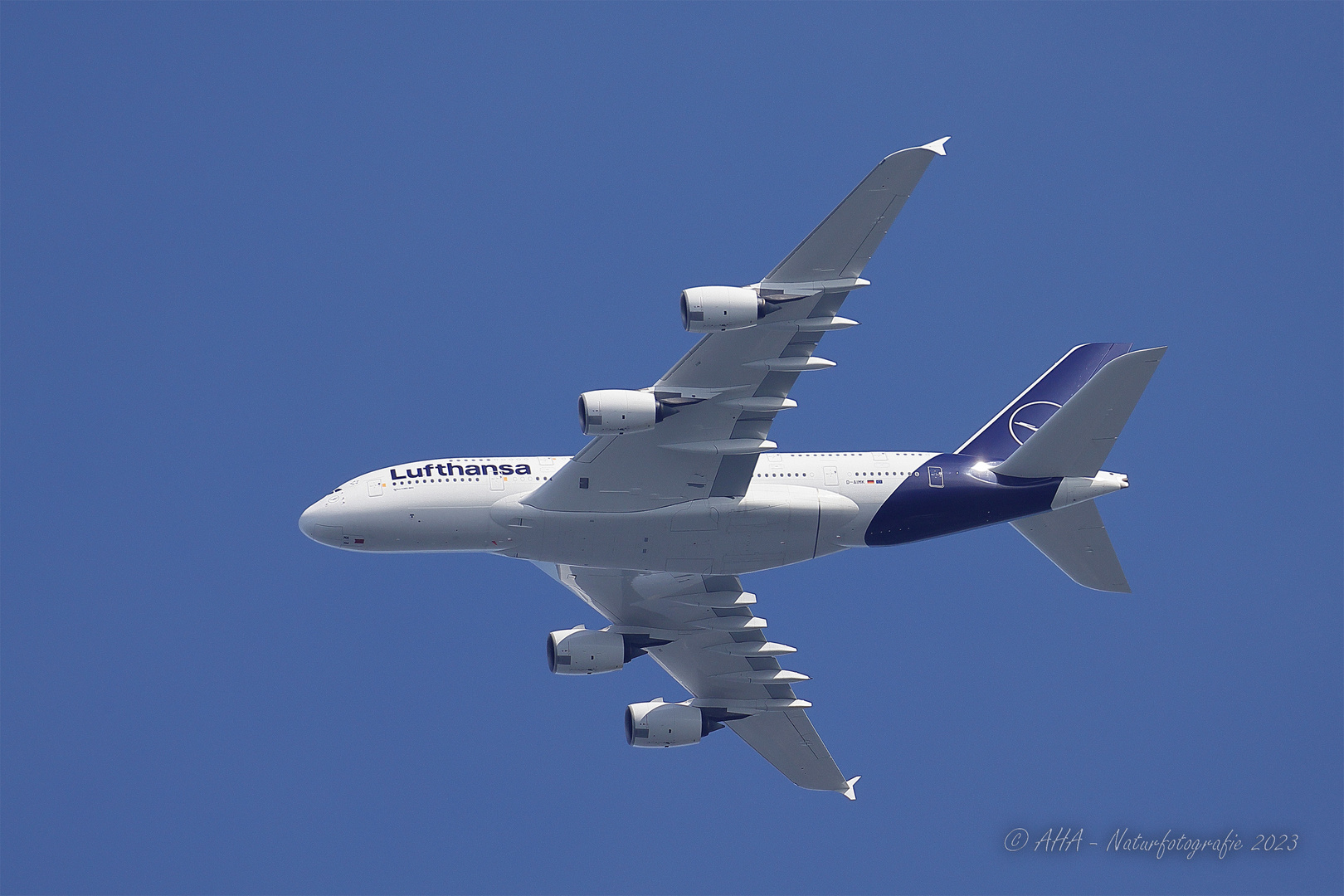  Lufthansa Airbus A380-800 formatfüllend