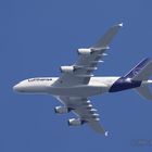  Lufthansa Airbus A380-800 formatfüllend