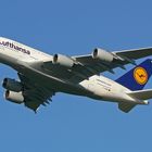 Lufthansa Airbus A380-841 D-AIMA #3