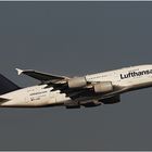 Lufthansa Airbus A380-841 (D-AIMD)