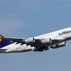 Lufthansa