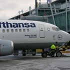 Lufthansa B737 - 500 Greifswald