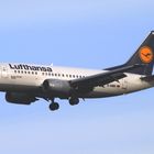 Lufthansa Boeing 737-500 - Rastatt im Anflug auf FRA