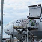 Lufthansa Cargo 