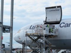 Lufthansa Cargo 