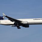 Lufthansa Cargo MD11 im Anflug auf rwy 07L