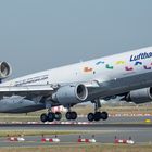 Lufthansa Cargo  ( Step by Step )