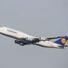 Lufthansa D-ABYG