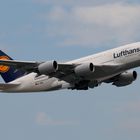 Lufthansa - D-AIMA