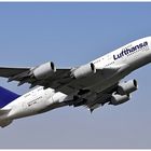 Lufthansa D - AIML 