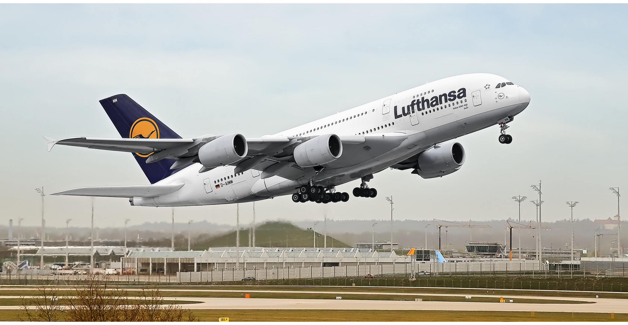 Lufthansa D - AIMM 