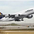 Lufthansa D - AIMM 