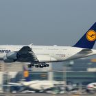Lufthansa (D-AIMM)