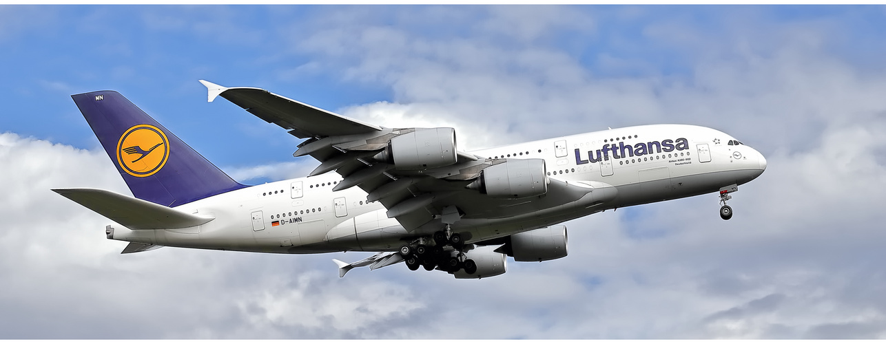 Lufthansa D - AIMN