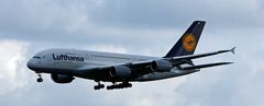 Lufthansa