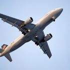 Lufthansa im Anflug auf Köln-Bonn