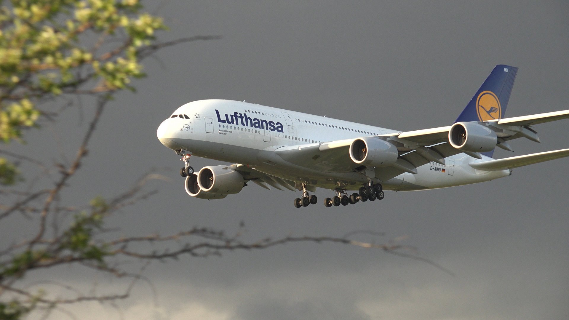 Lufthansa Jet A380-800 - Im Landeanflug auf Frankfurt.