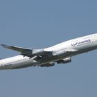 Lufthansa Jumbo