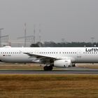 LUFTHANSA / New Livery