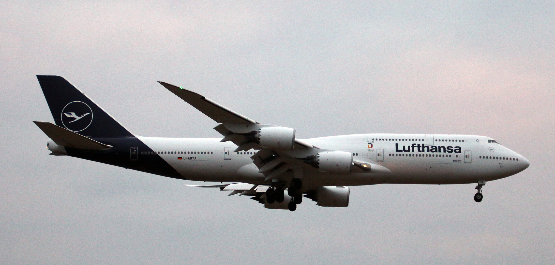 LUFTHANSA / New Livery