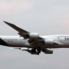 LUFTHANSA / New Livery