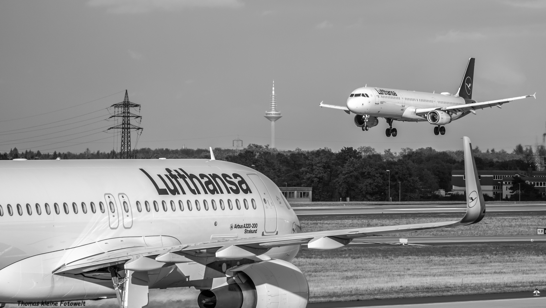 Lufthansa treffen