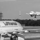 Lufthansa treffen