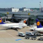 Lufthansaflotte am Flughafen Düsseldorf