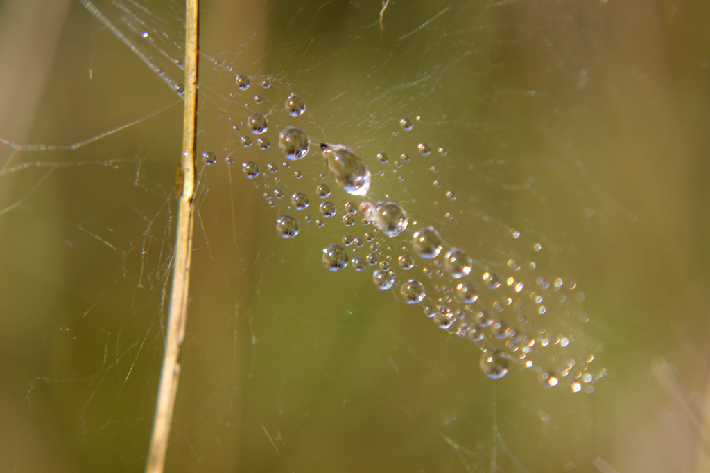 Luftig Foto &amp; Bild | wasser, eis, schnee, natur, herbst Bilder auf ...
