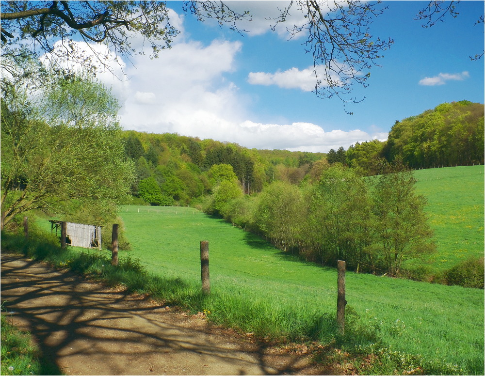 Luftig-leicht Foto &amp; Bild | jahreszeiten, frühling, natur Bilder auf ...