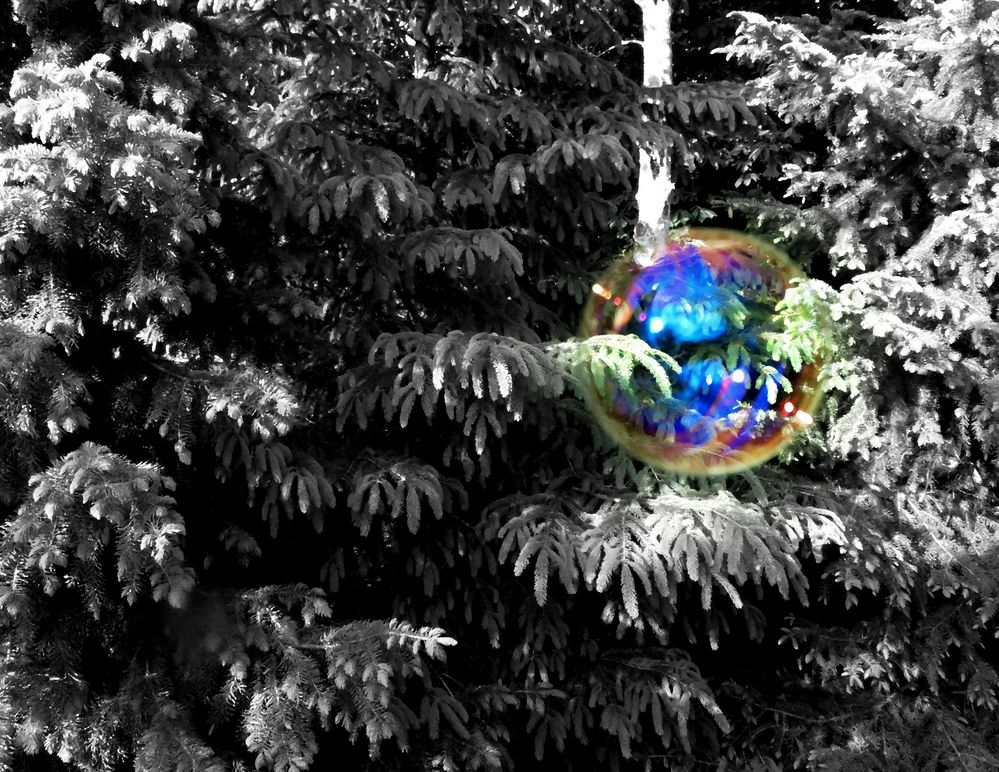 luftig leicht ... Foto &amp; Bild | outdoor, tannen, bäume Bilder auf ...