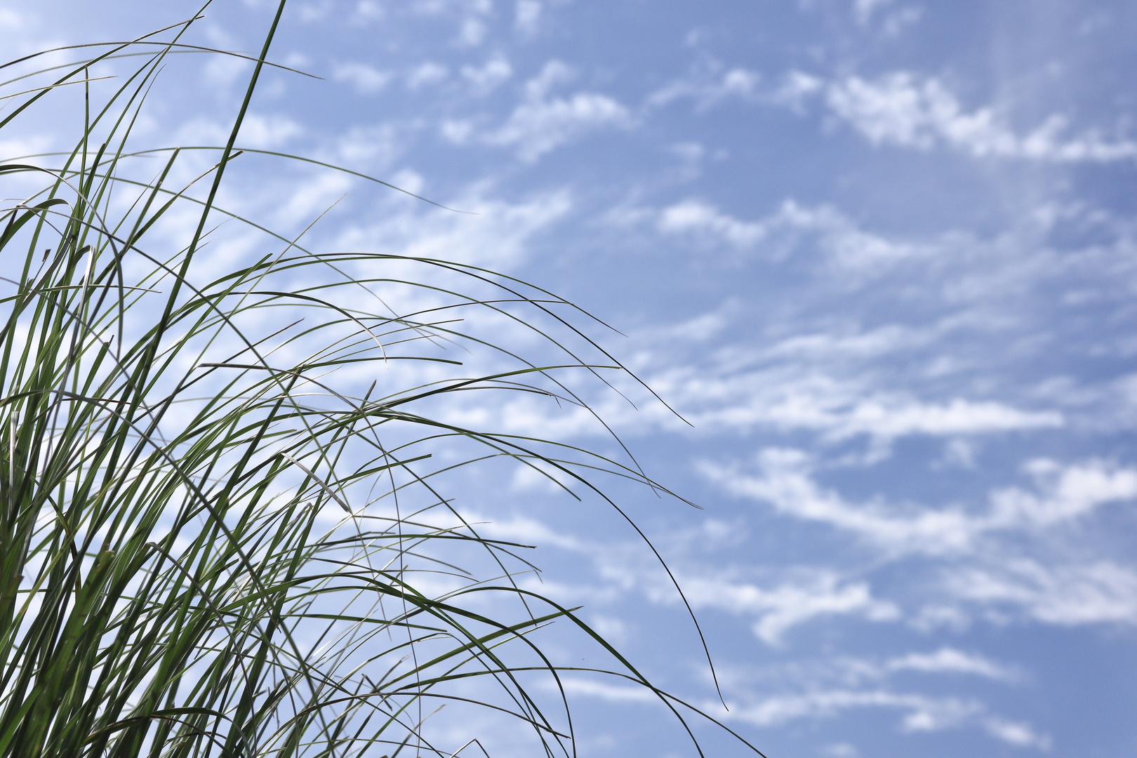 Luftig leicht ... Foto &amp; Bild | sommer, outdoor, wolken Bilder auf ...
