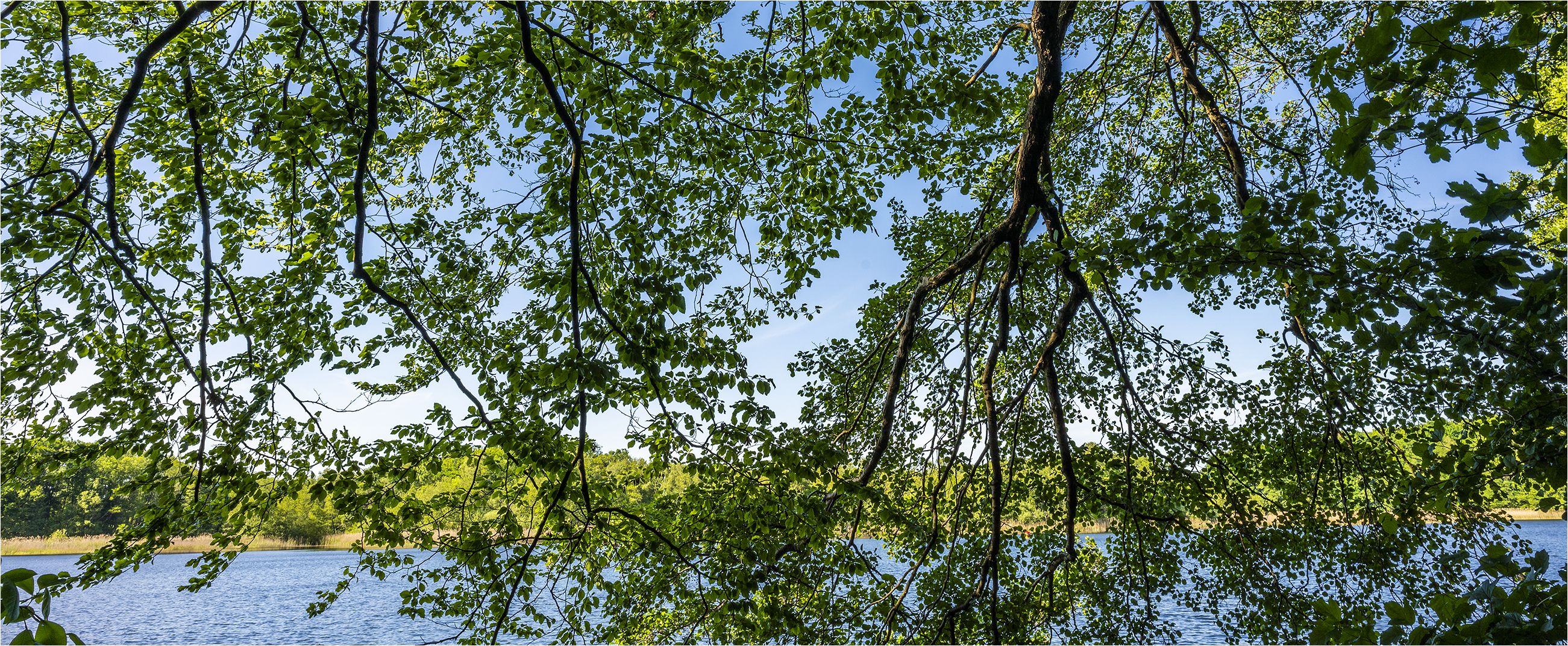 … Luftige Natur-Arkaden …