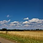 luftige Sommertage in der Heimat