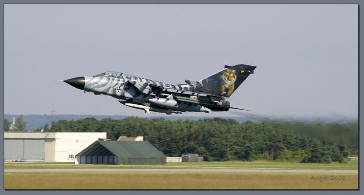 Luftiger Tiger - "ECR 46+48"