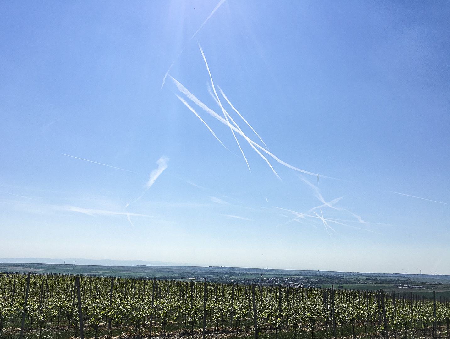 Luftkampf über Rheinhessen?