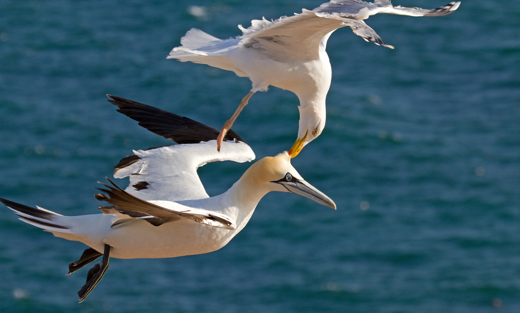 Luftkampf vor Helgoland