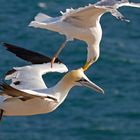 Luftkampf vor Helgoland