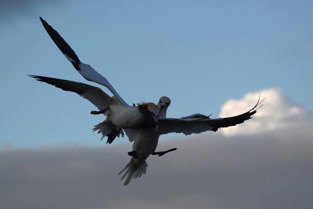 Luftraum Helgoland