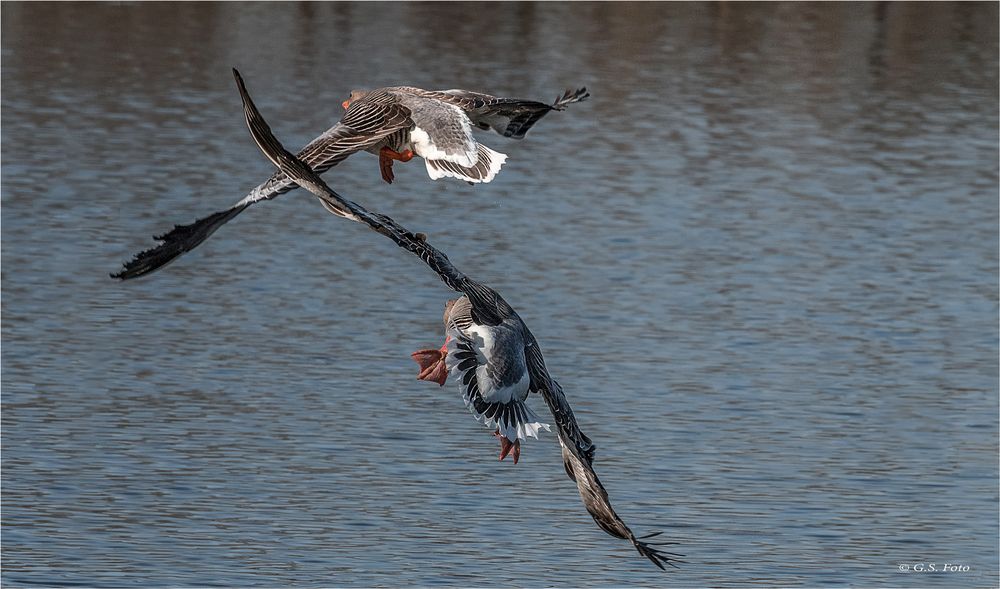 Luftschlacht am Weiher