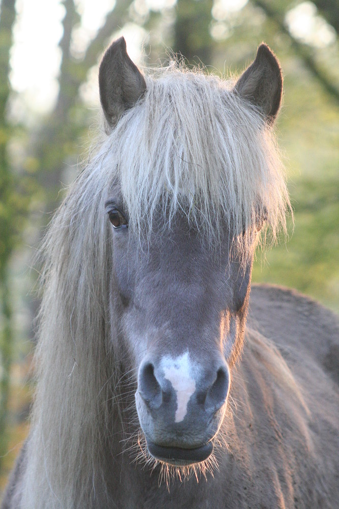 Luftschlösser