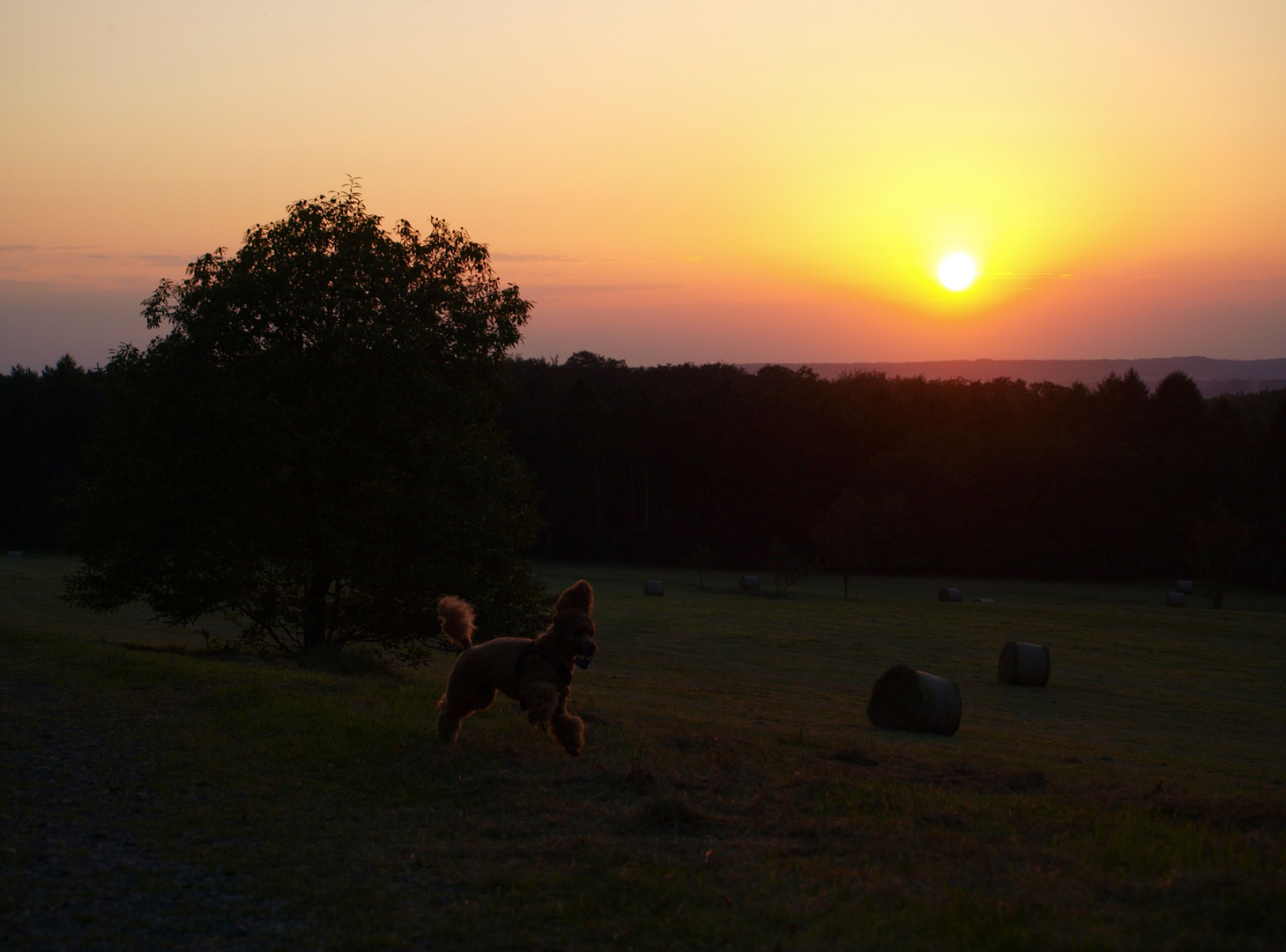 Luftsprünge im Sonnenuntergang