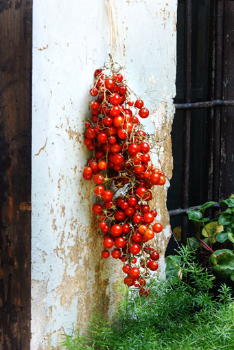 Lufttrocknende Tomaten im Mailand