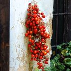 Lufttrocknende Tomaten im Mailand