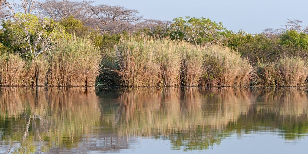 Lufupa River - Sambia