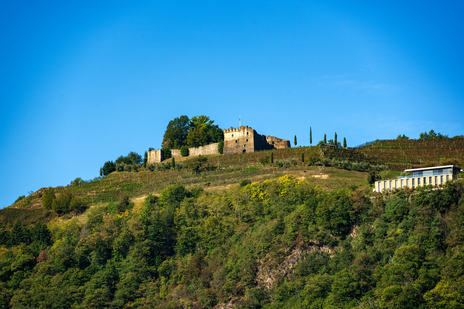 Luganersee Blick zum Castello di Morcote