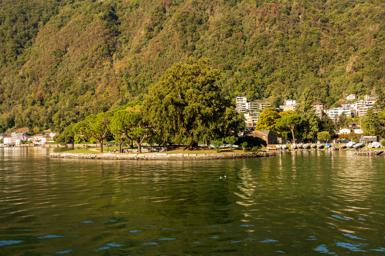 Luganersee Melide Hafeninsel