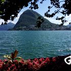 Lugano