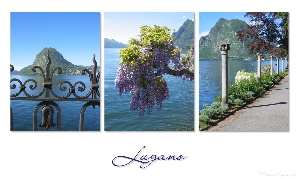 | Lugano |